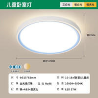 雷士 57W RA98全光谱 晨曦-蓝 分段调光