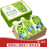 果王 晴王 阳光玫瑰葡萄 3斤装 单果12-20克+ 顺丰