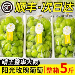 旭霁 阳光玫瑰葡萄水果 5斤甄选果 单粒8-18g 净重4.0斤