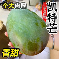 耕禾春 凯特芒大芒果净重8.5-9斤单果300g+