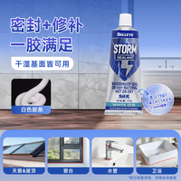 立邦 NIPPON PAINT 立邦 手挤暴封胶 防水玻璃胶 75g 白色