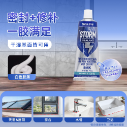 立邦 NIPPON PAINT 立邦 手挤暴封胶 防水玻璃胶 75g 白色
