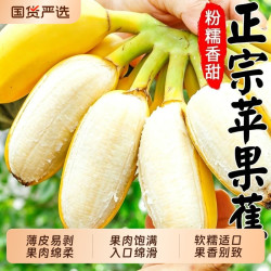 福瑞达 广西 小米蕉 3斤