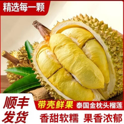 保3-4房肉新鲜金枕榴莲单果泰国进口顺丰带壳一整果