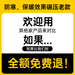 两只小蜜蜂 Bee 新国标3C认证电动车头盔女冬季保暖全盔秋冬电瓶摩托四季帽男
