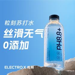 ELECTROX ELECTRO X）天然苏打水 380mL*24瓶*15箱+