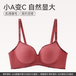 芬腾 内衣 舒适聚拢防下垂收副乳透气无痕无钢圈大胸小胸一体式女士文胸罩