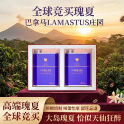 Dux 大岛瑰夏咖啡豆全球竞买巴拿马LAMASTUS庄园瑰夏咖啡礼盒2*100g
