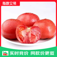 新鲜沙瓤番茄生吃西红柿减肥早餐即食新鲜蔬菜生鲜 囤货装 5斤 带箱