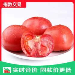 新鲜沙瓤番茄生吃西红柿减肥早餐即食新鲜蔬菜生鲜 囤货装 5斤 带箱