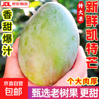 正宗凯特大芒果新鲜应季水果澳芒青整箱包邮特大青果当季现摘包邮 单果400g+ 超值划算