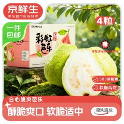 京鲜生 软糯双拼红白芭乐 净重3斤单果150g+ 新鲜番石榴 源头直发 软糯双拼红白芭乐 3斤