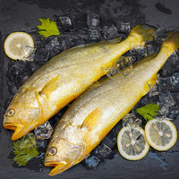 凌鲜 东海生态大黄鱼 400g 生鲜鱼类