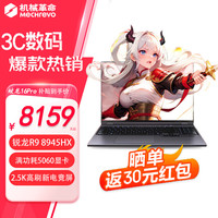 机械革命 蛟龙16Pro/苍龙16Pro 笔记本电脑RAJG