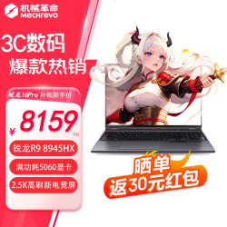 机械革命 蛟龙16Pro/苍龙16Pro 笔记本电脑RAJG