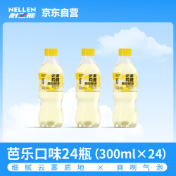 耐立能 云雾果汁气泡水柠檬口味300ml*24瓶绵密气泡全家清爽即饮饮料整箱