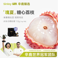 辛鹿咖啡 sinloy辛鹿鲜盾保鲜 糖心荔枝 瑰夏埃塞精品手冲咖啡豆112/224g 112g [16g*7]