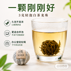 金馆长 福鼎白茶2020年四节气寿眉 3g小龙珠 5年陈老白茶口粮便携杯泡茶 秋｜醇  枣香醇厚90g