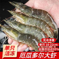 添渔港 厄瓜多尔大白虾  3斤(净重)