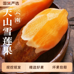 福瑞达 云南 雪莲果 3斤 小果