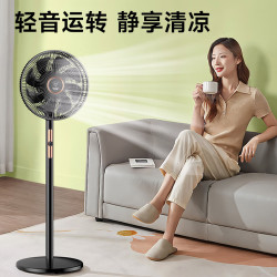 钻石牌 一级能效 直流变频电风扇  左右自动+上下手动