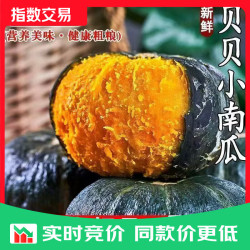 板栗味小南瓜代餐新鲜粉糯甜老南瓜批发 贝贝南瓜5斤净重 4.5斤