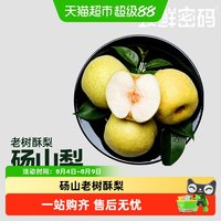 88VIP：天猫超市 安徽宿州砀山酥梨 250-350g 3斤/5斤/12颗
