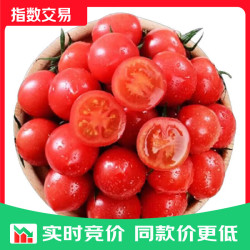 新鲜圣女果小番茄千禧小西红柿 5斤 带箱