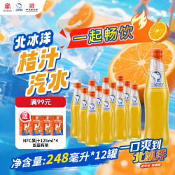 北冰洋 桔汁汽水精制248ml*12瓶