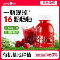 yumberry 扬百利（yumberry）仙居杨梅汁饮品果蔬汁孕妇饮料245ml*1瓶冰镇果汁整箱冰饮