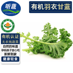 听蔬 有机羽衣甘蓝1斤/半斤  新鲜采摘无农残激素 有机认证榨汁食材汇 250g（半斤）
