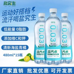 水云生 盐究生 海盐青橘味 480ml*15瓶