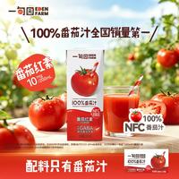 一甸园 100%NFC番茄汁饮料果蔬汁非浓缩蔬菜汁健康早餐饮品小瓶液体沙拉
