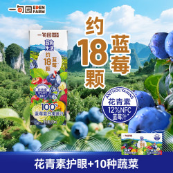 一甸园 果蔬汁100%NFC蔬菜汁番茄汁健康饮料果汁0脂0蔗糖补充一日