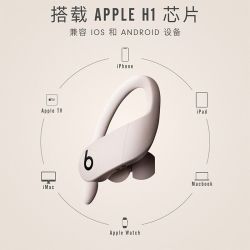 Beats PowerBeats Pro 挂耳式无线运动入耳式蓝牙耳机