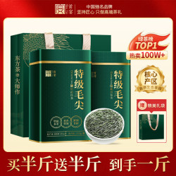 首宴 茶叶绿茶2026新茶信阳特级毛尖500g茶叶礼盒装送长辈送领导礼品