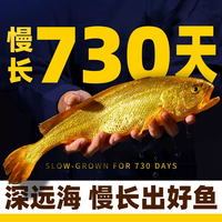 1米8 深远海大黄鱼 三去开背 500g 冷冻海鲜水产