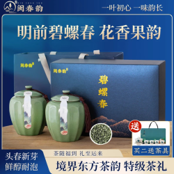 闽春韵 茶叶礼盒装新绿茶明前特级碧螺春嫩芽送老师礼物送人长辈领导250g
