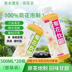 草本遇见 无糖菊花茶 500ml*20瓶