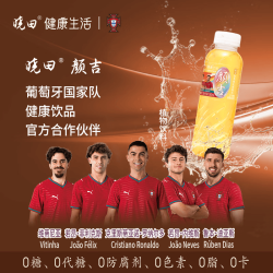 晓田 颜吉红枣枸杞桂圆水 365ml*15瓶 0代糖（新老包装随机发货）