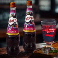 利宾纳 RIBENA）进口浓缩黑加仑果汁饮料850ml瓶装草莓宴会婚庆果汁饮料 浓缩黑加仑果汁 850mlX2瓶
