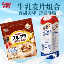 卡乐比 巧克力麦片400g+优诺4.0牛乳950ml
