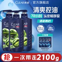 清扬 去屑洗发露控油止痒清爽头皮洗发水500g*3