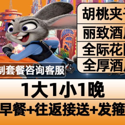 1大1小早鸟票+酒店1晚+接送