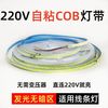 金幻 220V高压免驱动 COB灯带