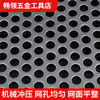 维诺亚 304不锈钢冲孔板 5mm孔1.5mm厚 45cm*45cm 圆孔装饰网