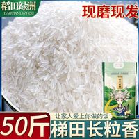 稻田绿洲梯田长粒香米50斤南方米现磨现发优选大米煮饭煲粥猫牙米