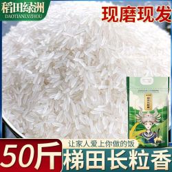 稻田绿洲梯田长粒香米50斤南方米现磨现发优选大米煮饭煲粥猫牙米