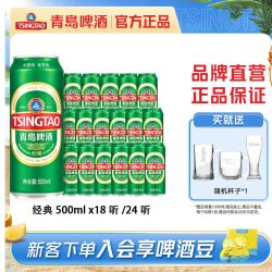 青岛啤酒 经典10度啤酒
