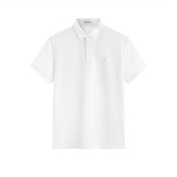 太平鸟 青年男士POLO衫 B1COE2110